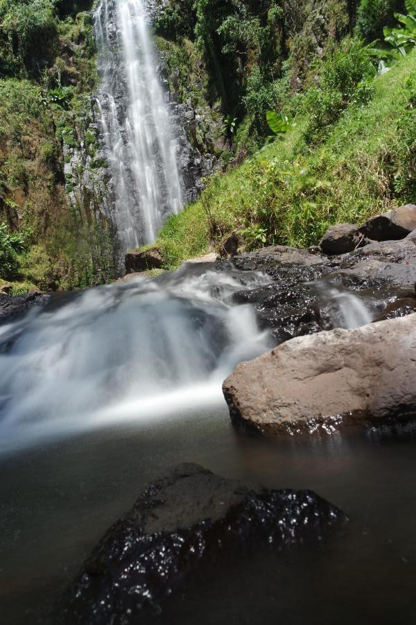 Mkoani Homestay Moshi Bagian luar foto